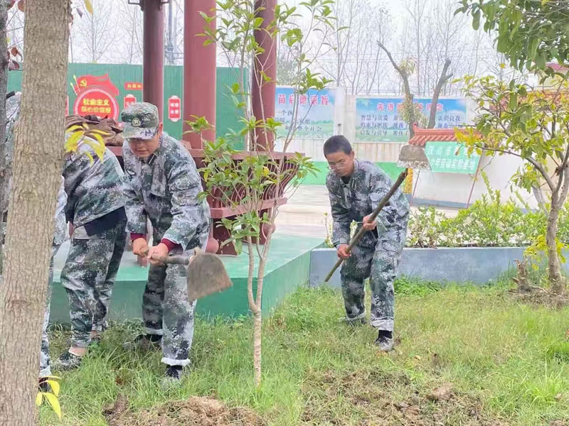 劳动教育课程 实际参与