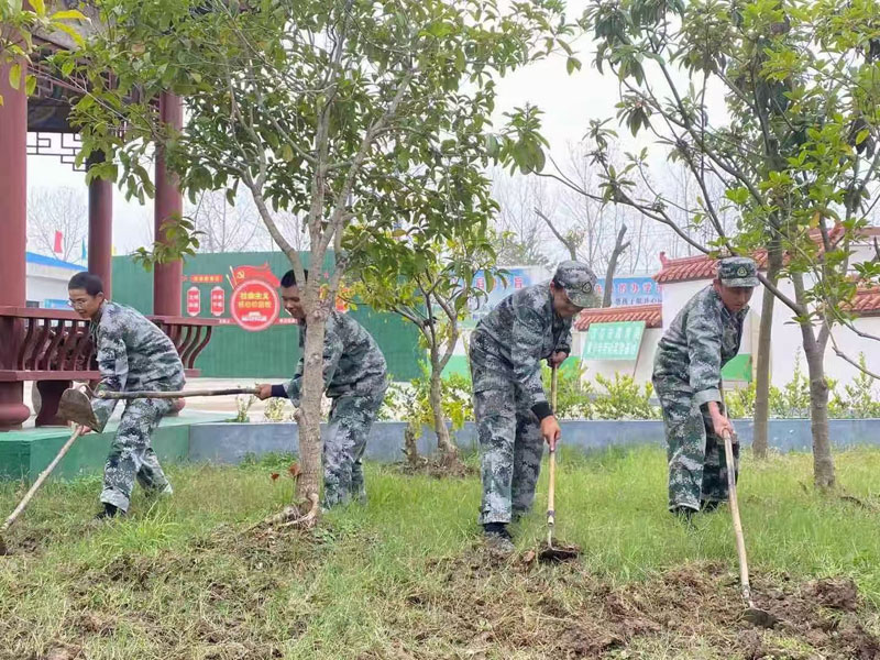 劳动教育课程 实际参与