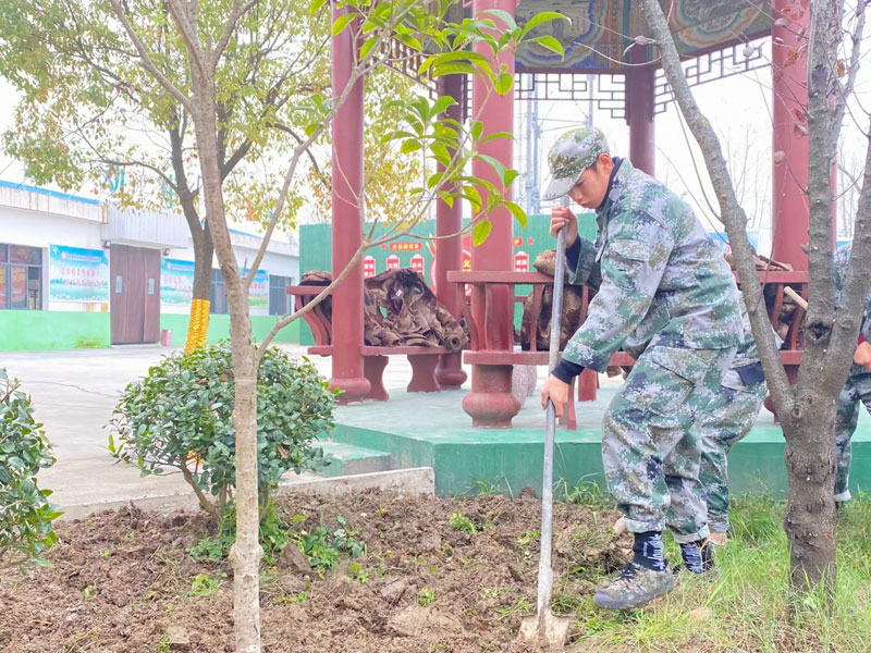 劳动教育课程 实际参与