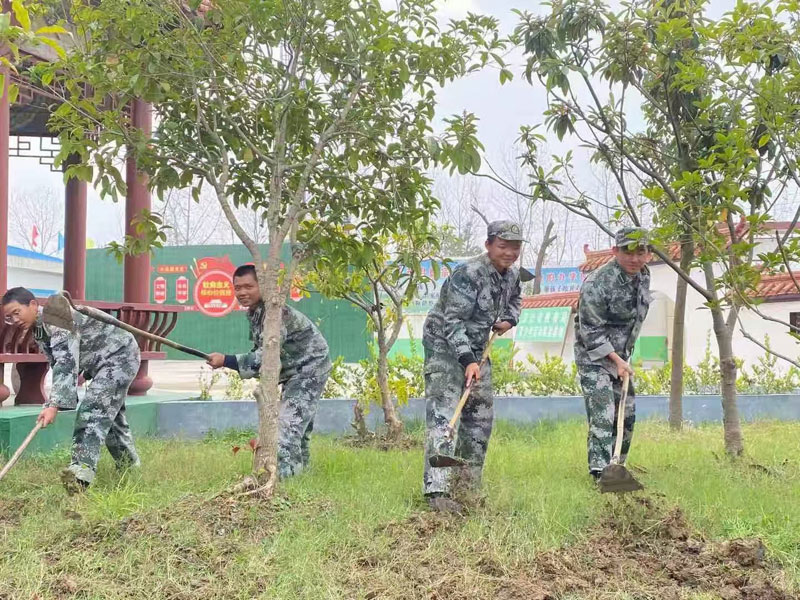 劳动教育课程 实际参与